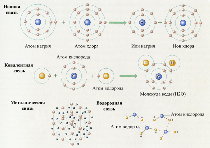 Назовите структуру белковой молекулы изображенную на рисунке какие взаимодействия и химические связи