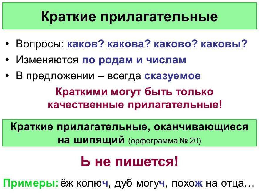 Полные и краткие прилагательные. Краткие прилагательные примеры. Прилагательное в краткой форме. Имя прилагательное краткая форма. Краткая форма прилагательного.