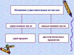 Имена существительные которые имеют форму только единственного числа 5 класс презентация